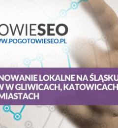 Pozycjonowanie Lokalne na Śląsku: Zdobywaj Klientów w Gliwicach, Katowicach, Sosnowcu, Zabrzu, Chorzowie i Innych Miastach