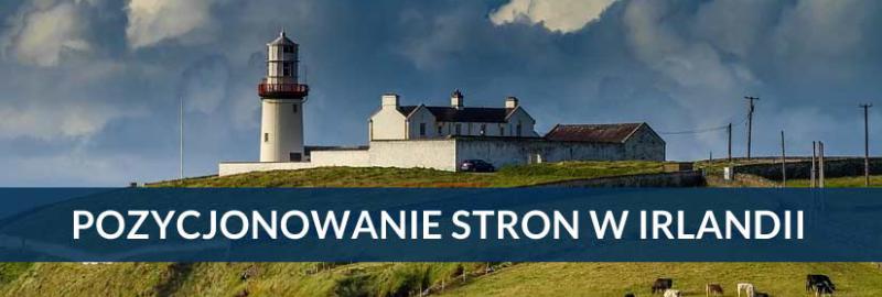 Pozycjonowanie stron i sklepów internetowych Irlandia