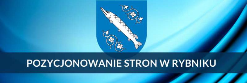 Pozycjonowanie stron i sklepów internetowych w Rybniku